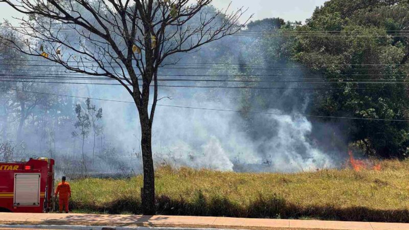 Incêndio em vegetação invade pista e espalha fumaça na Duque de Caxias em Campo Grande