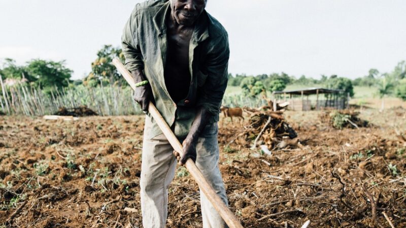 Aposentadoria rural em Mato Grosso do Sul