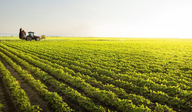 Mato Grosso do Sul inicia safra 2025/26 com aumento de área e produção em alta, aponta Conab