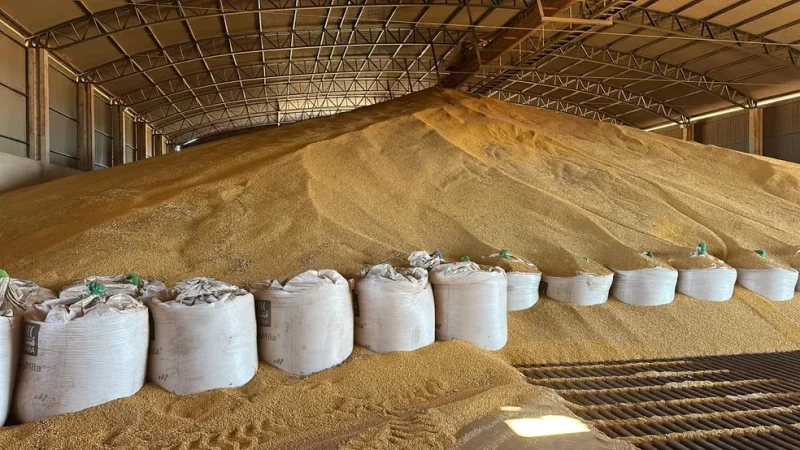 MS tem déficit de 11 milhões de toneladas na capacidade de armazenagem de grãos, aponta estudo da Aprosoja