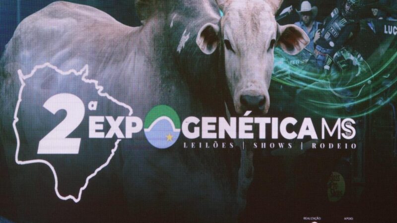 Expogenética MS 2025 movimenta o agronegócio com 15 leilões e exposição de animais de elite em Campo Grande