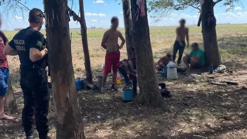 Número de adolescentes resgatados de trabalho escravo triplica em Mato Grosso do Sul