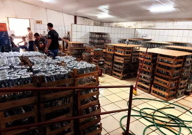 Fábrica clandestina de bebidas é fechada em Terenos e dono acaba preso