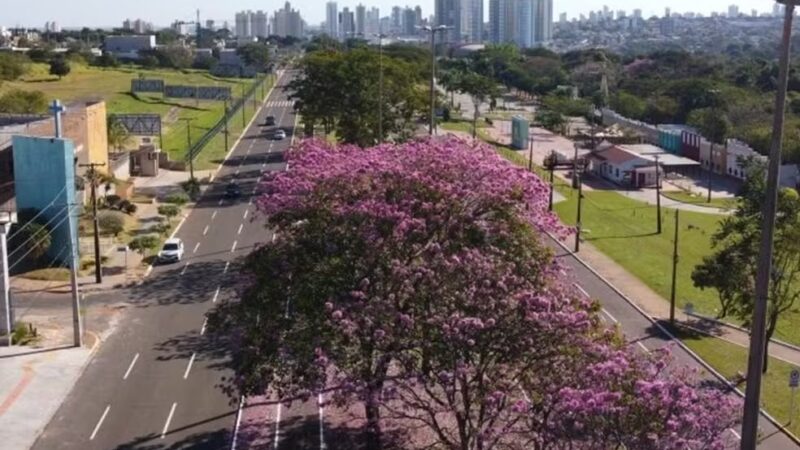 Domingo começa nublado em Campo Grande e Inmet emite alerta vermelho de tempestades para MS e outros três estados