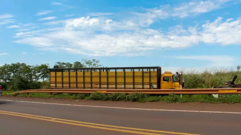 Colisão entre caminhão boiadeiro e Golf deixa dois feridos e causa congestionamento na BR-262