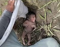 Recém-nascida é encontrada atrás de formigueiro em área rural