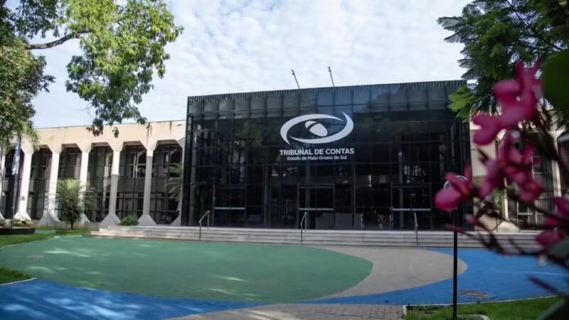 TCE-MS cria programa para garantir vagas a mulheres vítimas de violência em contratos de serviços