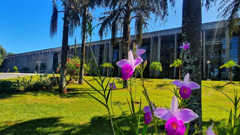 Semana na Alems terá missa, seminário, sessões solenes e votações entre 8 e 12 de dezembro