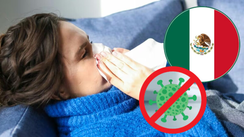 México confirma primeiro caso do subclado K da influenza A (H3N2) e descarta risco à população