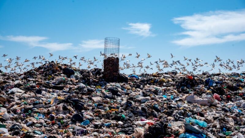 TCE-MS retoma levantamento sobre gestão de resíduos sólidos em municípios da jurisdição de Waldir Neves