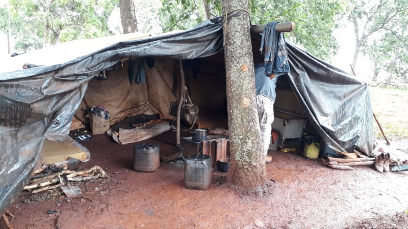 Combate ao trabalho escravo resgata dois trabalhadores por semana em Mato Grosso do Sul