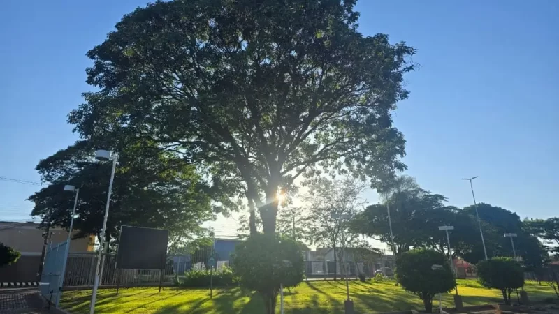 Quarta-feira terá manhã firme e pancadas de chuva à tarde em Mato Grosso do Sul