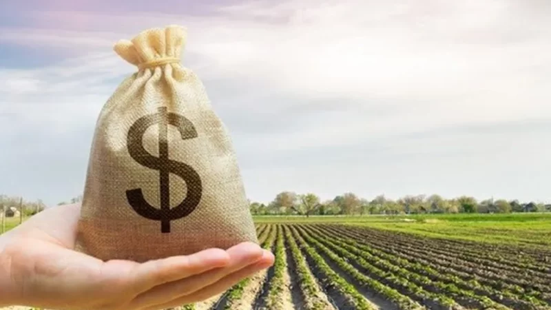 Crédito rural: por que os bancos devem respeitar o limite de juros de 12% ao ano