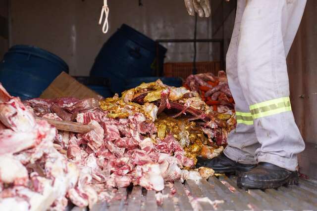 Açougue é interditado no Nova Lima e polícia apreende 400 kg de carnes e bebidas irregulares