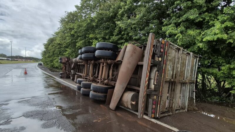 Carreta com 200 porcos tomba na BR-163 após motorista desviar de buraco em Campo Grande