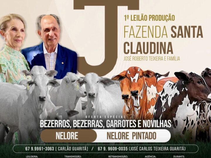 Fazenda Santa Claudina realiza 1º leilão de produção em Dourados