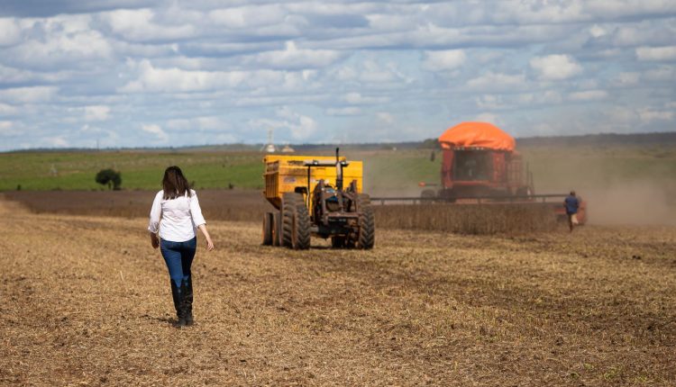 Alta do diesel e falta do combustível ameaçam colheita de soja em Mato Grosso do Sul