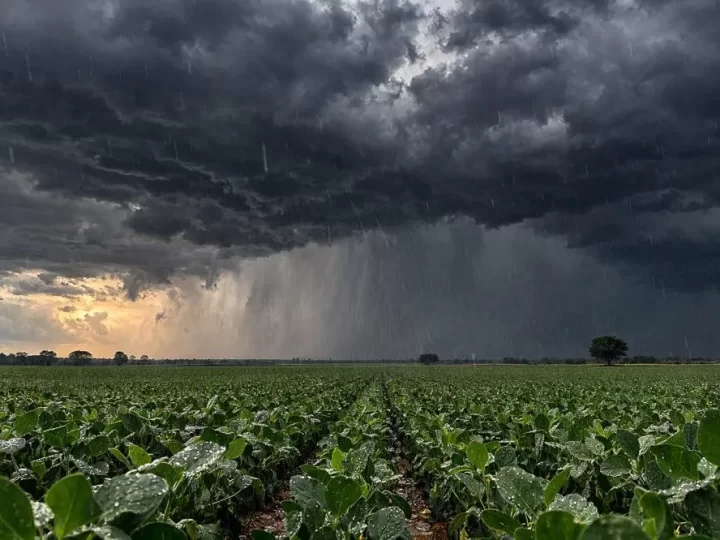 Chuvas fortes colocam Mato Grosso do Sul sob alerta meteorológico