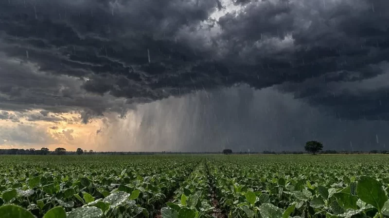 Chuvas fortes colocam Mato Grosso do Sul sob alerta meteorológico