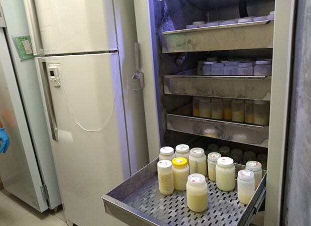 Estoque baixo leva hospital a pedir doação de leite materno para bebês internados