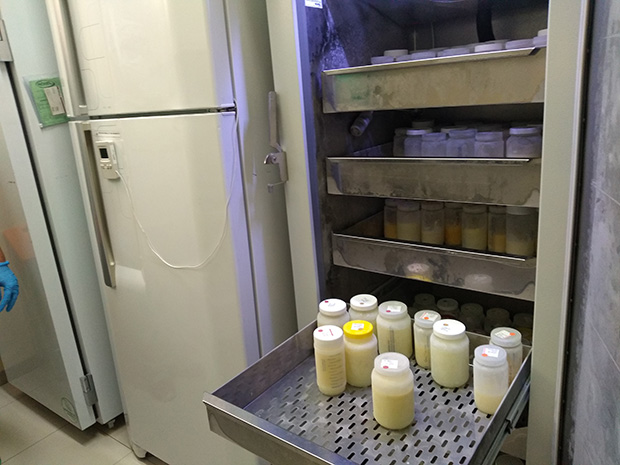 Estoque baixo leva hospital a pedir doação de leite materno para bebês internados