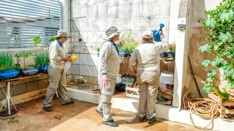 Ministério da Saúde reforça combate ao Aedes aegypti em aldeias indígenas de MS