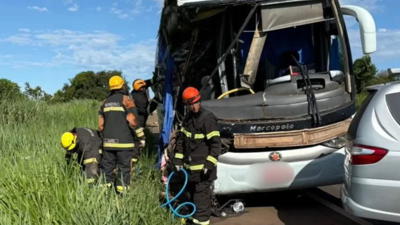 Segunda vítima morre após acidente entre ônibus e caminhão na BR-267