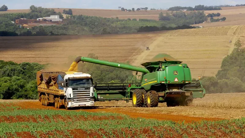 MS consolida força na soja e emplaca cinco cidades entre as maiores produtoras do país