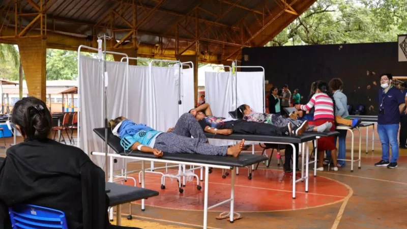 Surto de Febre Chikungunya provoca quinta morte de um bebê indígena em Dourados