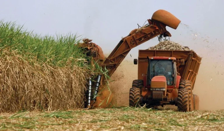 MS bate recorde na produção de etanol e avança como potência em energia renovável