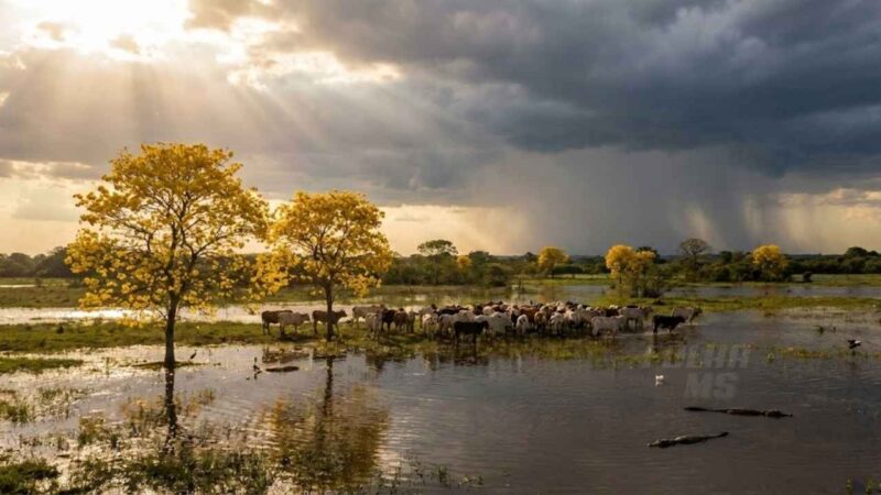 Chuva perde força em MS, mas calor segue forte nesta terça-feira