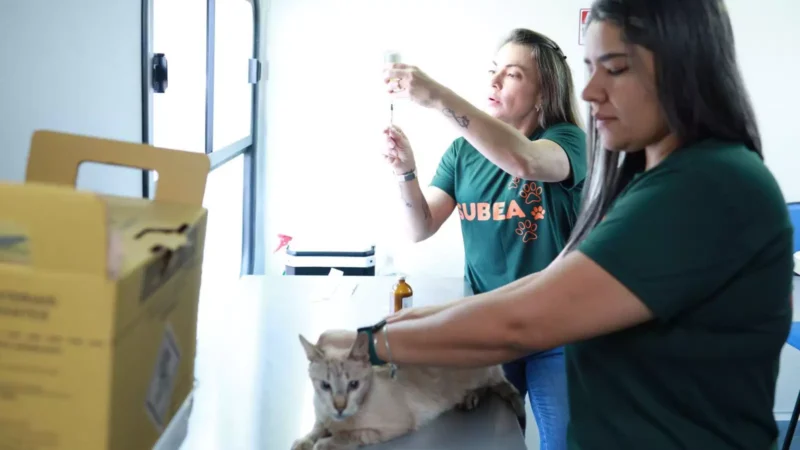 Consultório móvel leva atendimento veterinário gratuito a bairros de Campo Grande