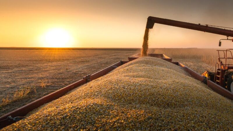 Exportações de MS batem US$ 1,1 bilhão e têm março como terceiro melhor da história