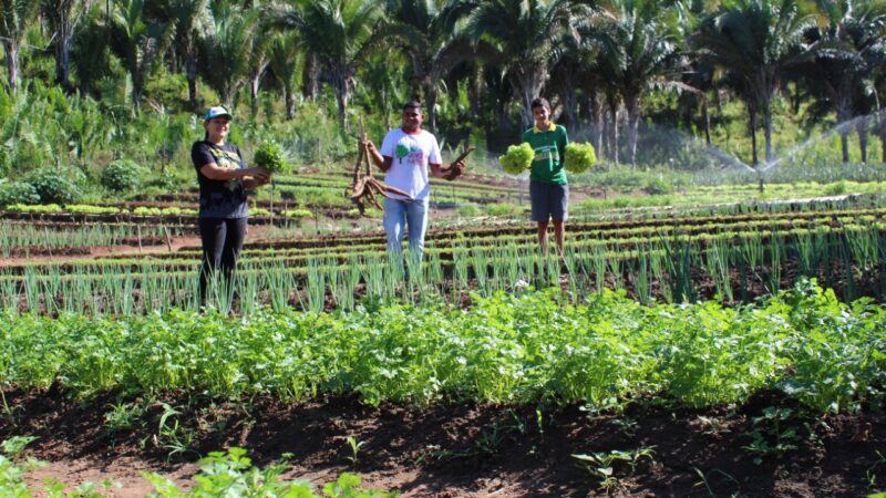 Agraer amplia acesso ao crédito rural e fortalece agricultura familiar em MS