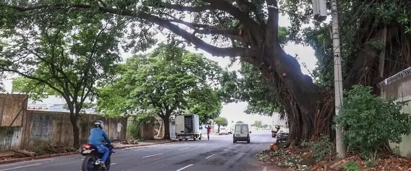 Pai embriagado é encontrado caído na rua enquanto criança chora ao lado em Campo Grande