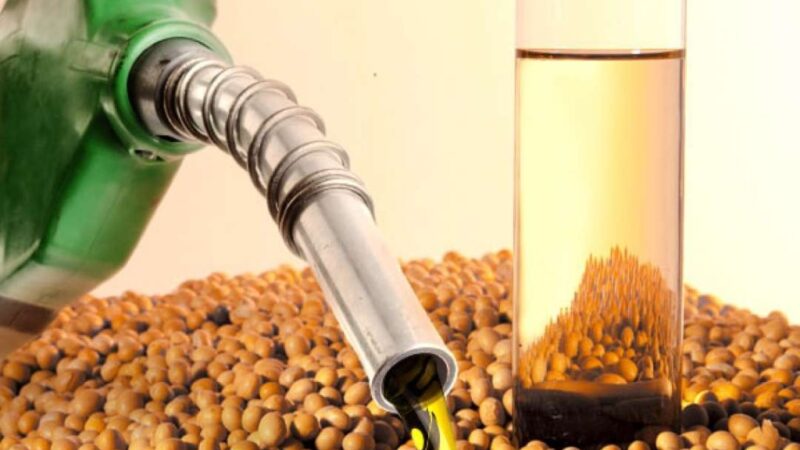 Demanda por soja deve disparar em MS com avanço dos biocombustíveis até 2035