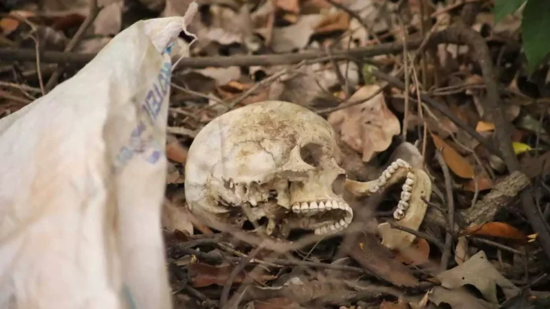 Crânio humano é encontrado em terreno e caso é investigado em Campo Grande