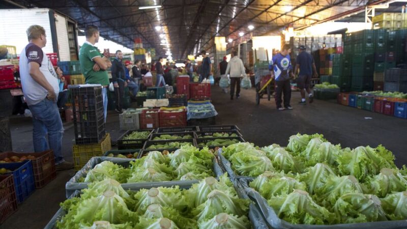Frutas ficam mais baratas e hortaliças sobem com impacto do clima em MS