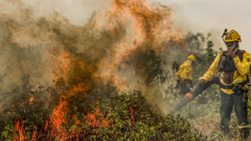 Fiscalização ambiental no Pantanal é intensificada após falhas no combate a incêndios