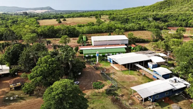 Mutirão leva serviços da Justiça a comunidade quilombola em Jaraguari