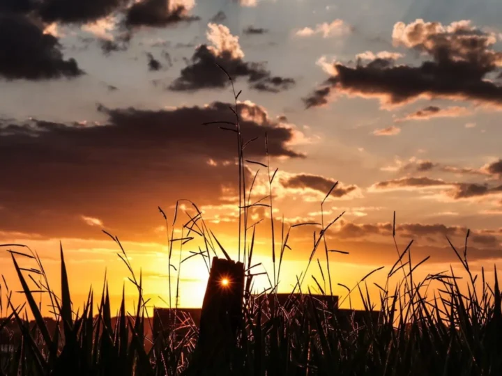 Calor e baixa umidade marcam a sexta-feira em Mato Grosso do Sul