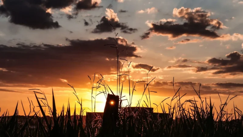 Calor e baixa umidade marcam a sexta-feira em Mato Grosso do Sul
