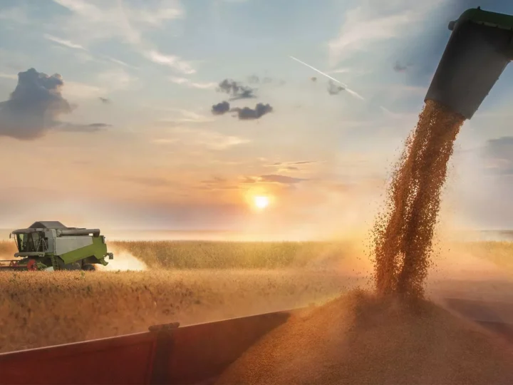 MS caminha para nova safra recorde de soja e reforça liderança nacional