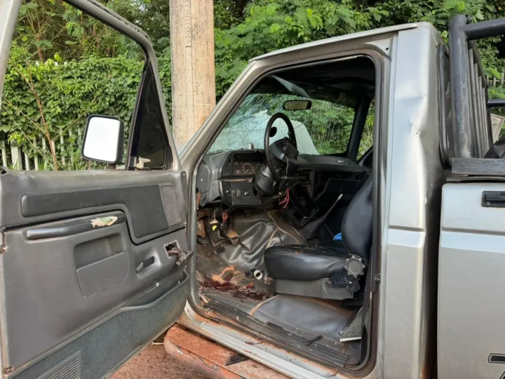 Motorista perde controle ao tentar evitar animal e bate caminhonete em poste