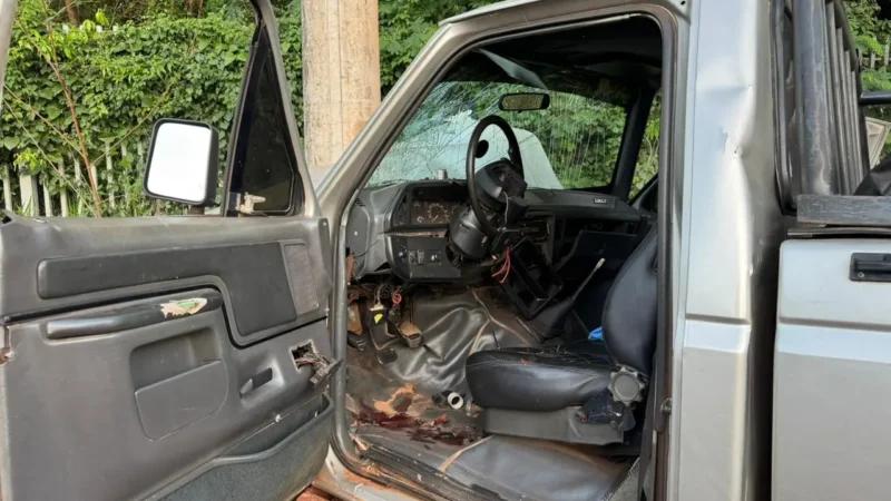 Motorista perde controle ao tentar evitar animal e bate caminhonete em poste