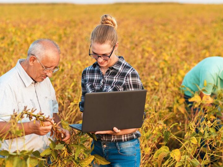 Capacitação gratuita em tecnologia agrícola abre vagas para universitários em Campo Grande