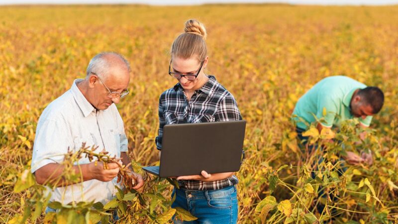 Capacitação gratuita em tecnologia agrícola abre vagas para universitários em Campo Grande