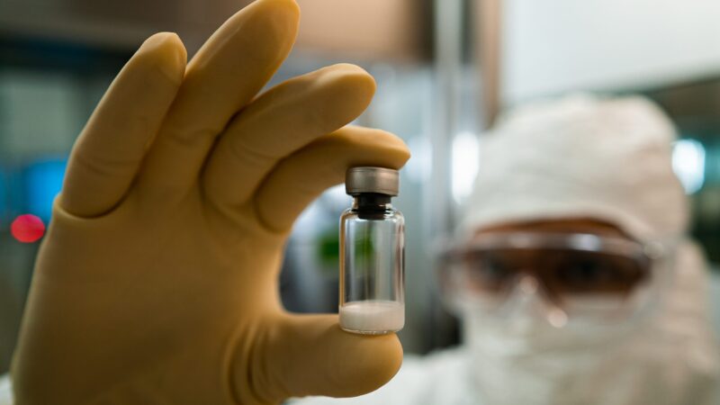 Produção nacional de vacina contra chikungunya avança após aval da Anvisa