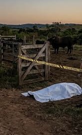 Idoso morre após ser prensado por touros em fazenda