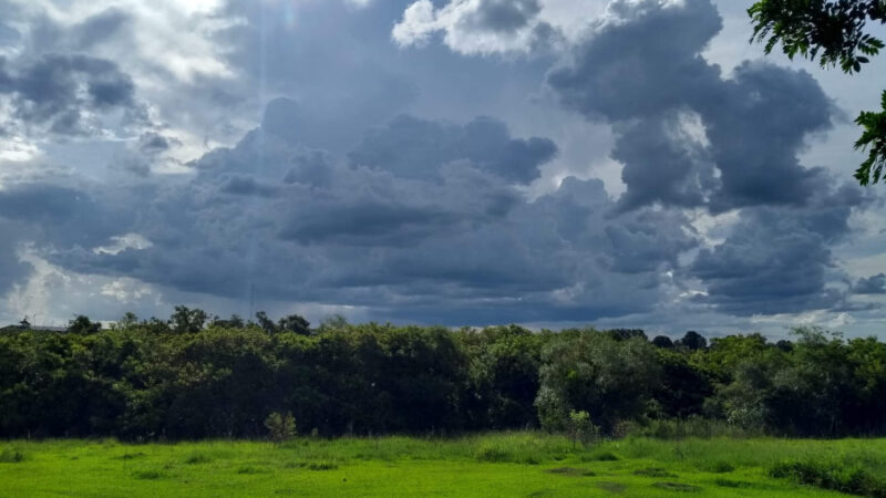 Frente fria traz chance de chuva e ventos fortes em Mato Grosso do Sul nesta quinta